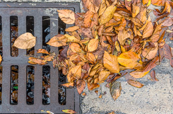 Storm drain covered in fall leaves