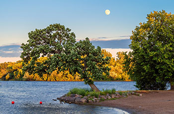 Moonrise Over West Medicine Lake Park by Larry Paulson | 2022 Picture Plymouth Photo Contest