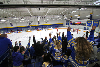 Crowds cheer during a hockey game at the Plymouth Ice Center