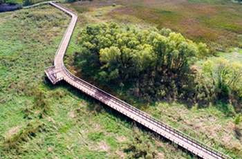 Photo of a boardwalk at the Northwest Greenway in Plymouth