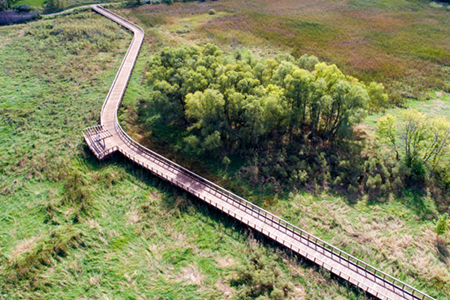 Photo of a boardwalk at the Northwest Greenway in Plymouth