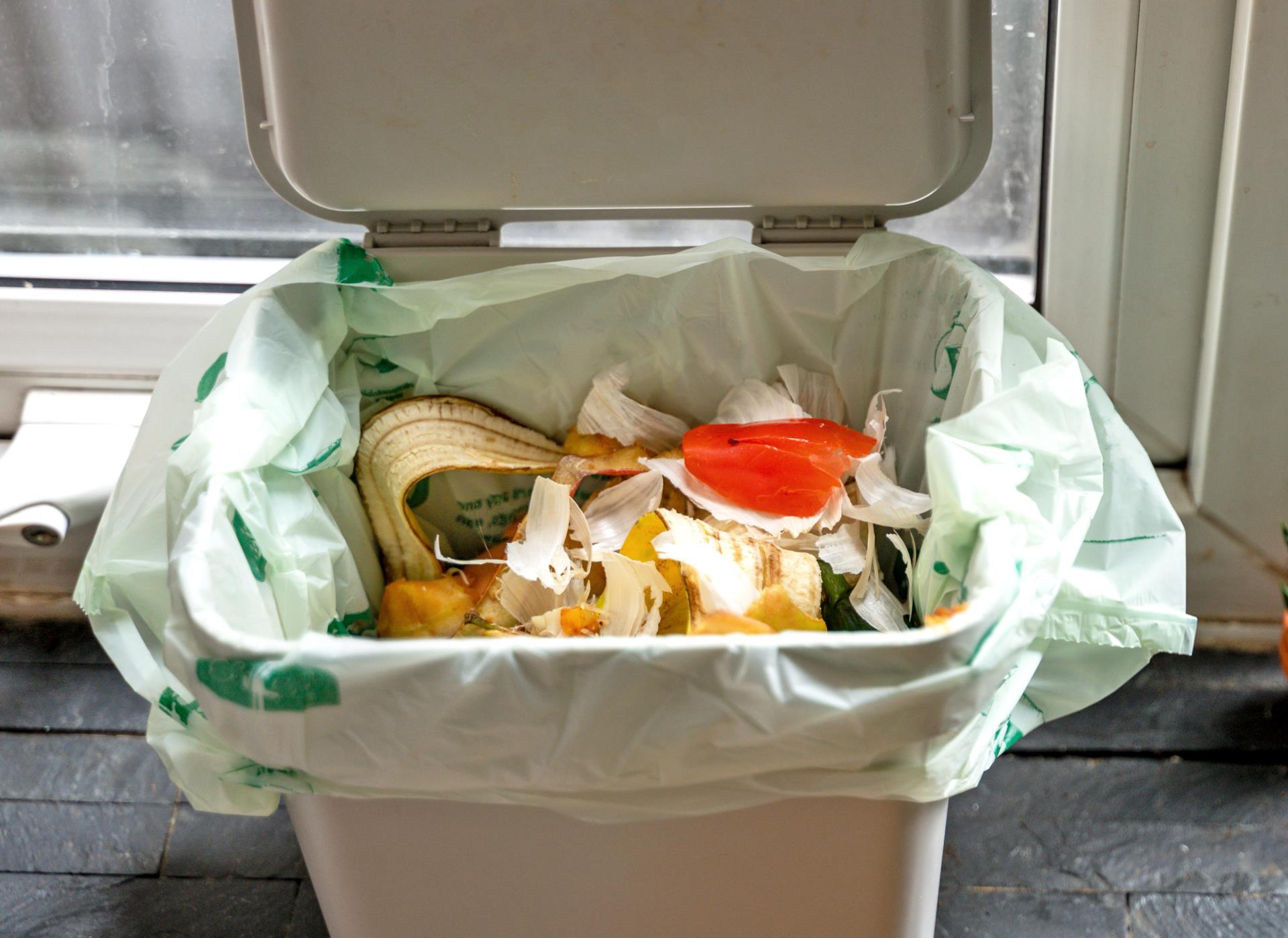 Container with compostable bag for organic material