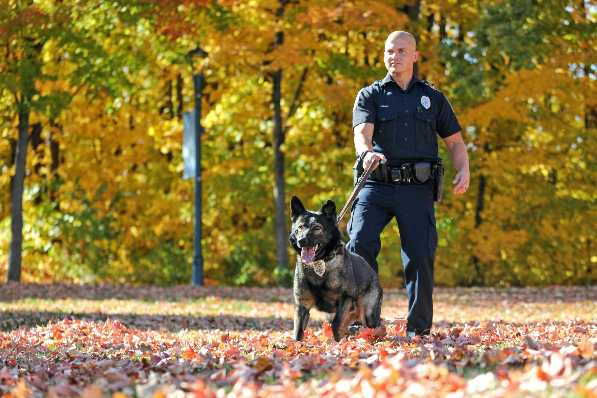 K9 Officer and canine 