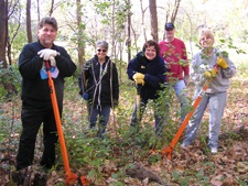 Busting buckthorn