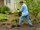 Build a rain garden