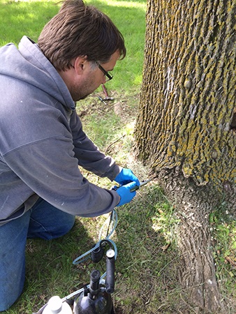 For the past two years, the City of Plymouth has been proactively treating larger, healthy ash trees in city parks and boulevards to prevent the spread of Emerald Ash Borer. The first case of EAB in the City of Plymouth was confirmed Sept. 15 in the southeastern part of the city, near Medicine Lake. 