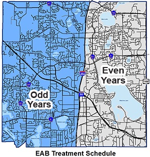 Emerald Ash Borer treatment schedule map