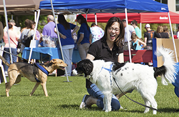 Plymouth's Bark in the Park event