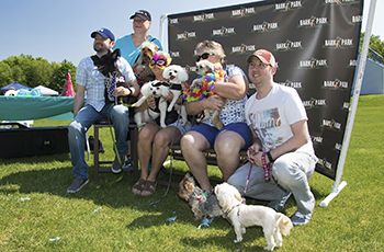 Plymouth's Bark in the Park event