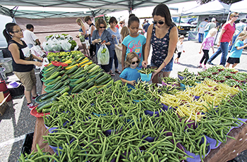 Plymouth Farmers Market