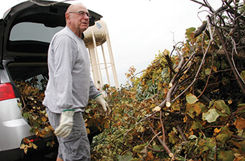 Plymouth Yard Waste Site