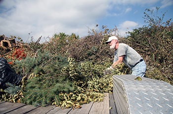 Man throwing leaves and brush into a pile at the Plymouth Yard Waste Site