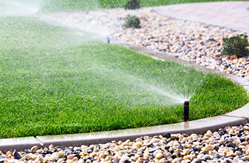 Irrigation lawn watering