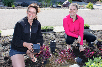 Flower planting volunteers