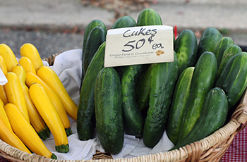 Gregor Farms at the Plymouth Farmers Market 