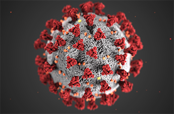 Coronavirus