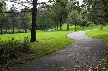 Sunrise Park trail in Plymouth