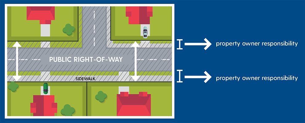 Graphic that illustrates that property owners are responsible for the management of vegetation within the right-of-way