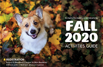 Fall 2020 Parks and Recreation Guide cover graphic featuring a dog in colorful fall leaves