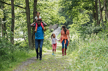 Family walking through the woods in the summer